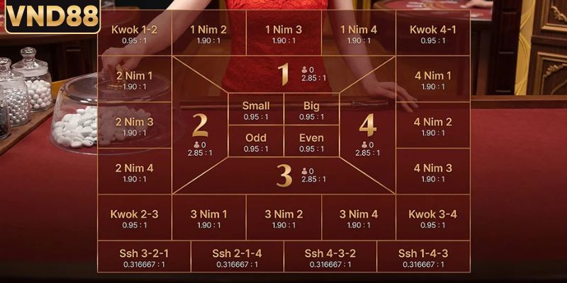 Các cửa cược thường gặp trong ván fantan