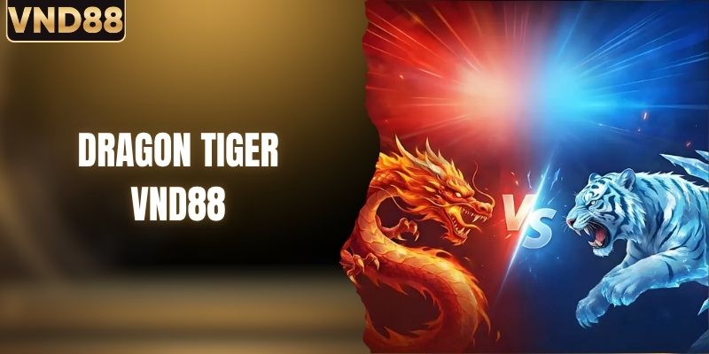 Dragon Tiger - Quy Tắc Và Thuật Ngữ Chi Tiết Tại VND88