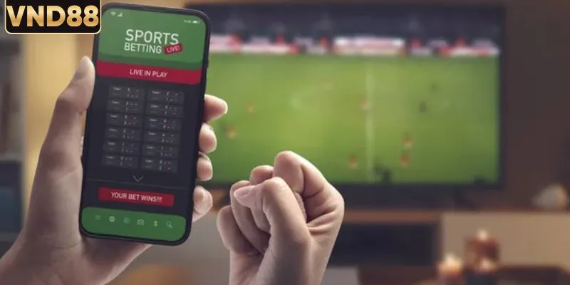 Lưu ý khi chơi kèo cá cược live betting