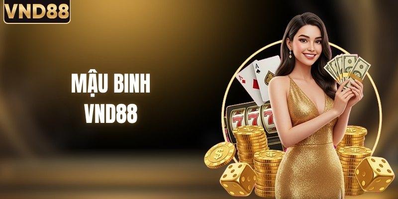 Mậu Binh VND88 - Đấu Trí Kịch Tính Trong Từng Ván Bài