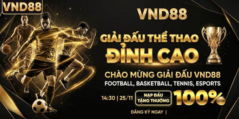 Sức nóng từ các giải đấu thể thao