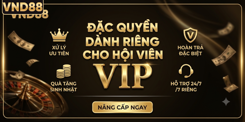 Đặc quyền dành riêng cho hội viên VIP